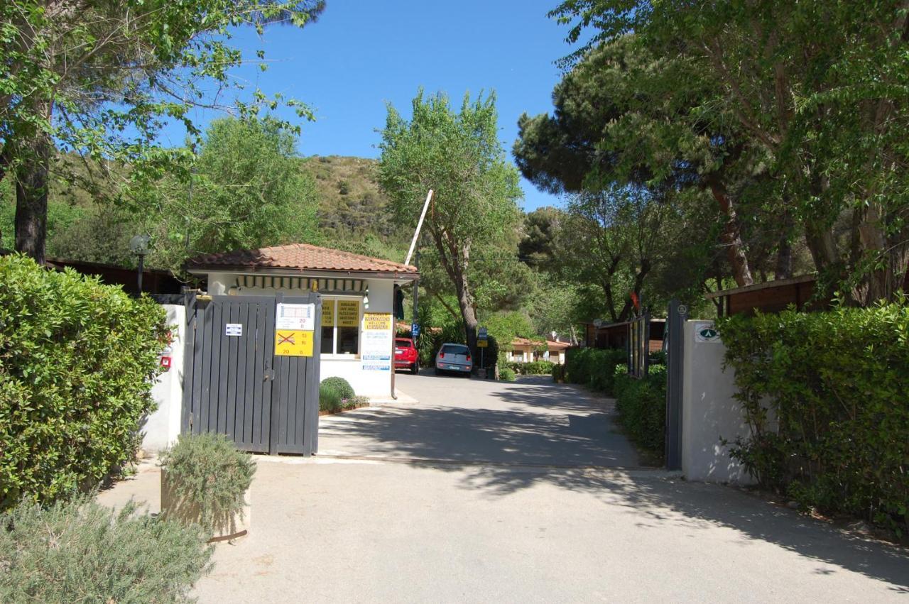 Camping Feniglia Monte Argentario Eksteriør billede