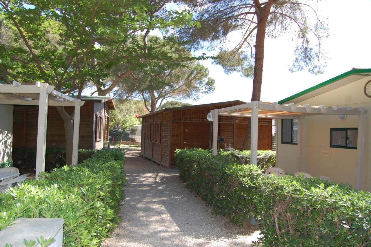 Camping Feniglia Monte Argentario Eksteriør billede